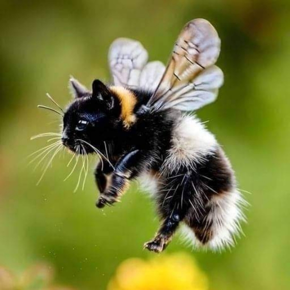 Meet your Posher, Monica - Picture 16 of 16